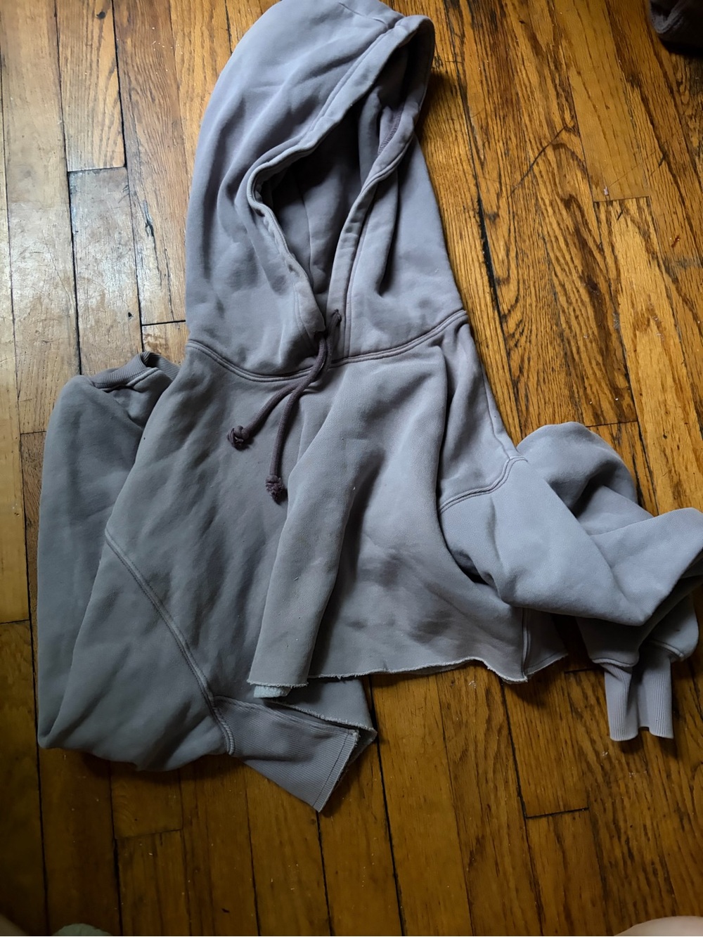 Aritzia Cropped Hooded Sweatshirt in Mauve